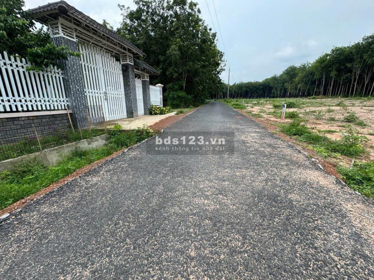 Đất Mặt Tiền đường Nhựa 460m2 Thổ Cư 200m2, Giá rẻ chỉ 950 triệu