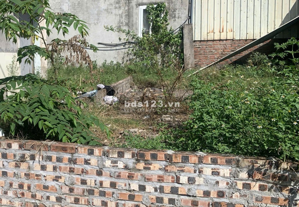 Chính chủ bán đất thổ cư tại Mê Linh, Gần vành đai 4, giá vô cùng hợp lý