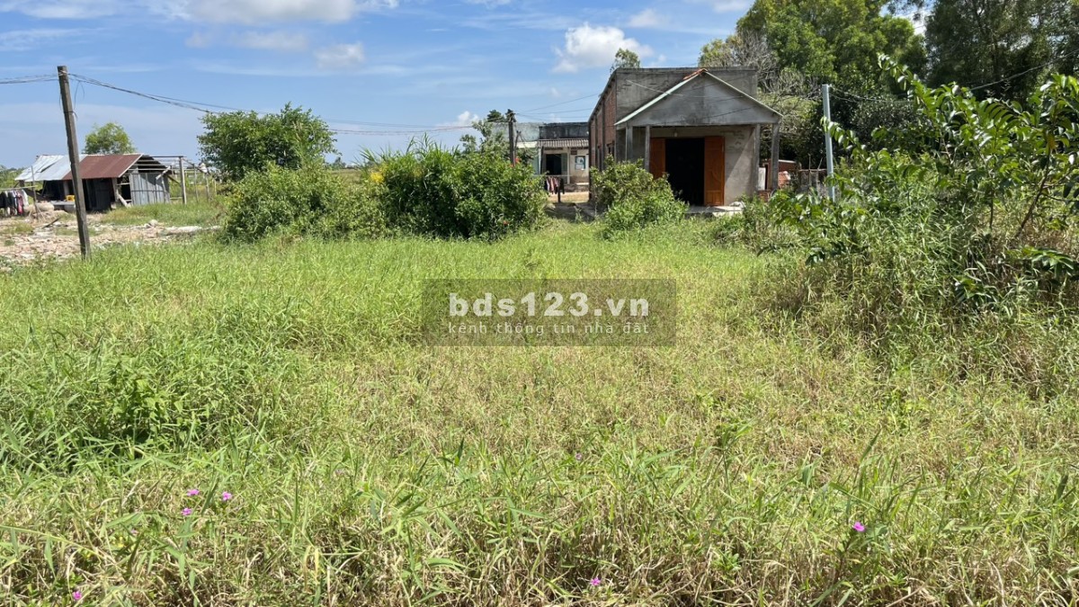 Đất ở vị trí đẹp giá rẻ tại Tân Phú Đông – Giá chỉ 295 triệu