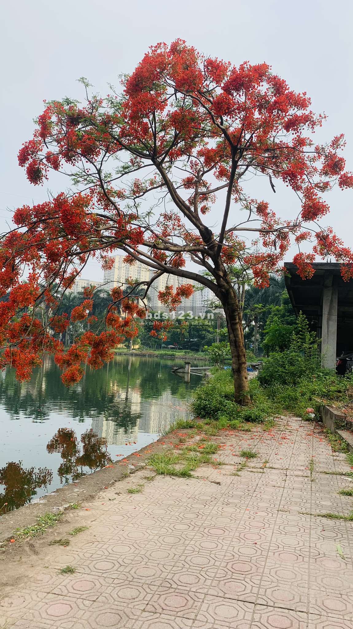 Cần bán căn hộ chung cư - Khu đô thị Vĩnh Hoàng – Gía 3.3 tỷ