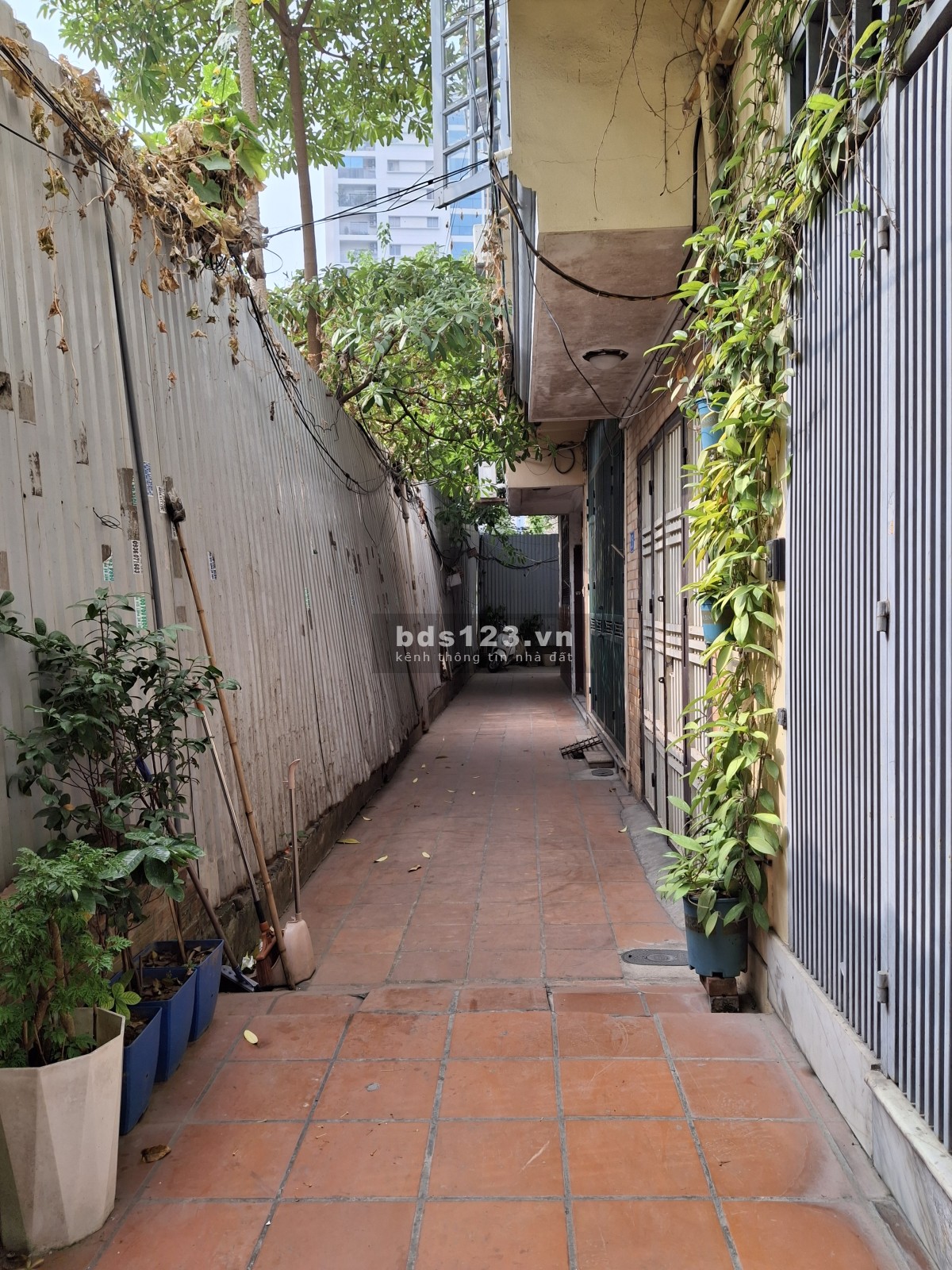 Cần bán nhà Thụy khuê - Giá rẻ - Về ở ngay - 42m2 có 5.2 tỷ