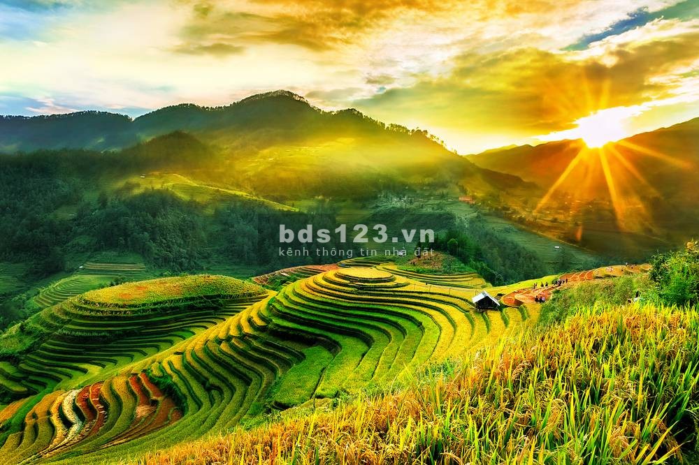 Bán 1000M2 2 mặt tiền GIÁ 30 TỶ trung tâm thị trấn Sapa Lào Cai