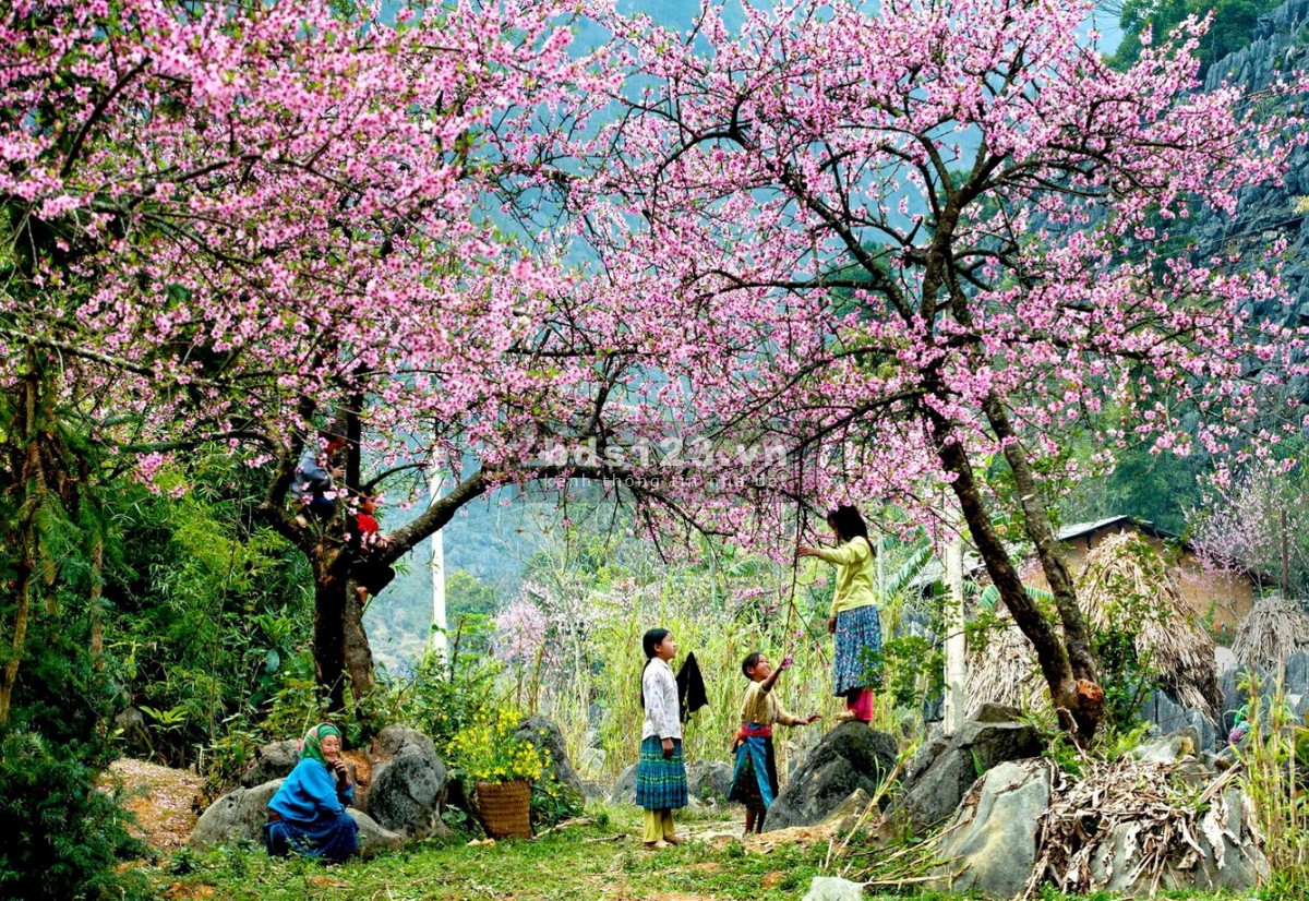 Bán 1000M2 2 mặt tiền GIÁ 30 TỶ trung tâm thị trấn Sapa Lào Cai