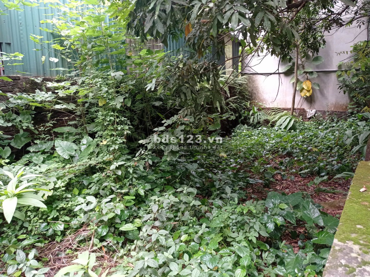 Đất sổ đỏ chính chủ, vuông rộng - Làm chung cư - Nhà liền kề - Xã Đại Thành, Quốc Oai-