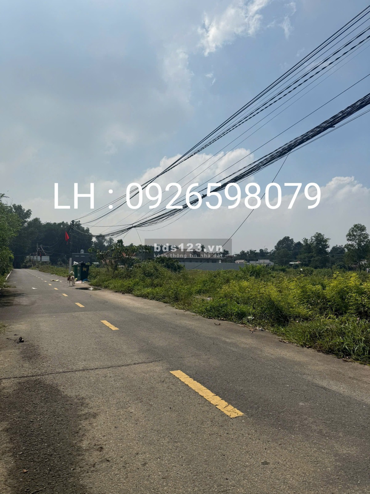Mở bán khu đất nền bên Huyện Long Thành diện tích lên khủng lên tới 140m2 giá trả trước chỉ 500tr.