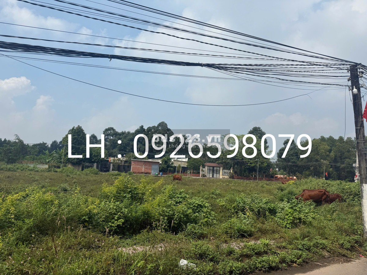 Mở bán khu đất nền bên Huyện Long Thành diện tích lên khủng lên tới 140m2 giá trả trước chỉ 500tr.