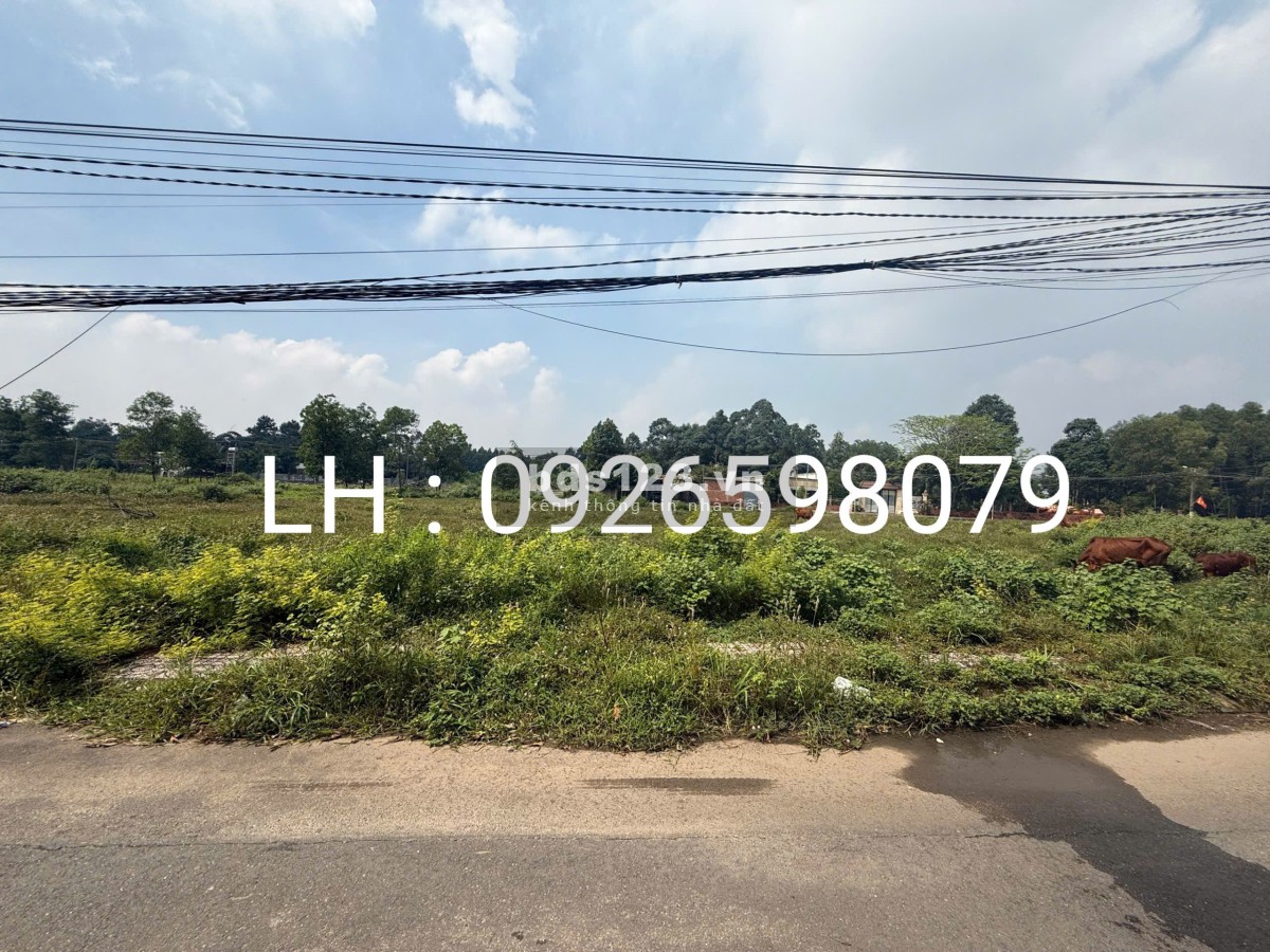Mở bán khu đất nền bên Huyện Long Thành diện tích lên khủng lên tới 140m2 giá trả trước chỉ 500tr.