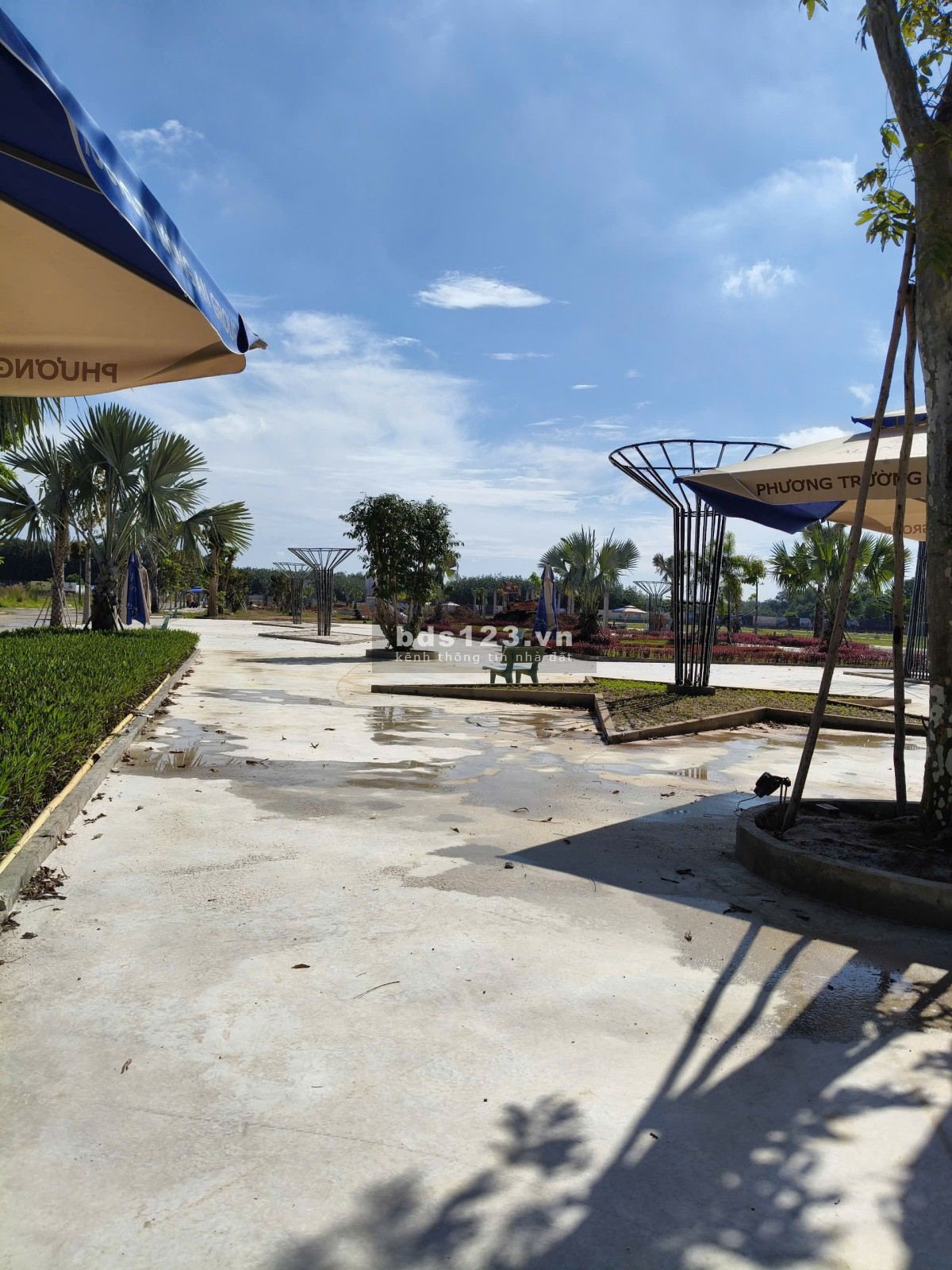 Bán đất nền dự án tại Đường ĐT 741, Phú Giáo, Bình Dương diện tích 75m2 giá 368,000,000 Triệu