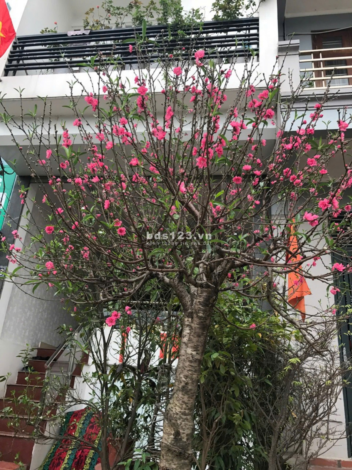 Bán nhà chính chủ không qua môi giới, giá cả có thể thương lượng, mặt đường view Sông Hồng