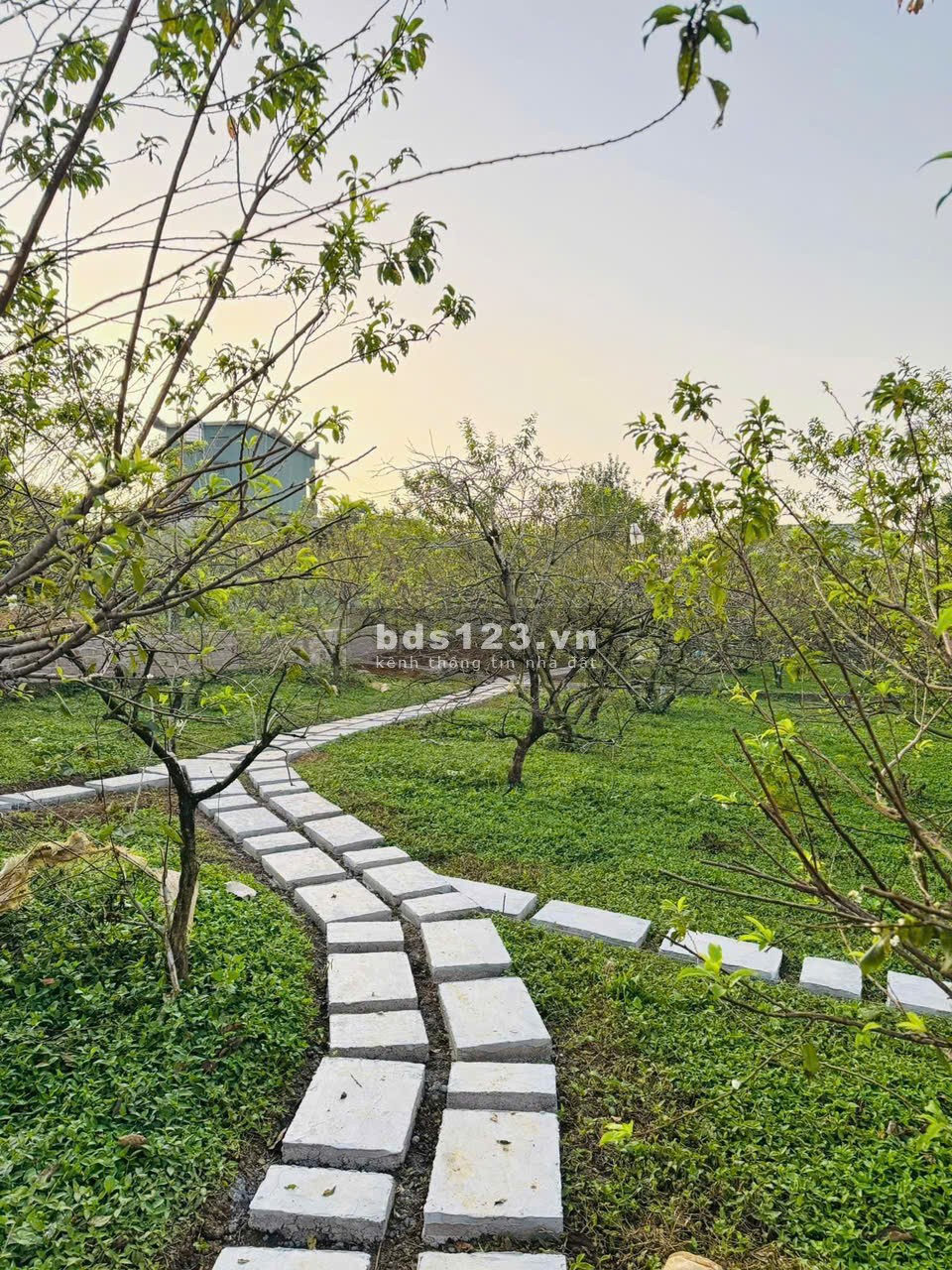 Bán homestay Mộc Châu view đồi chè cực hot