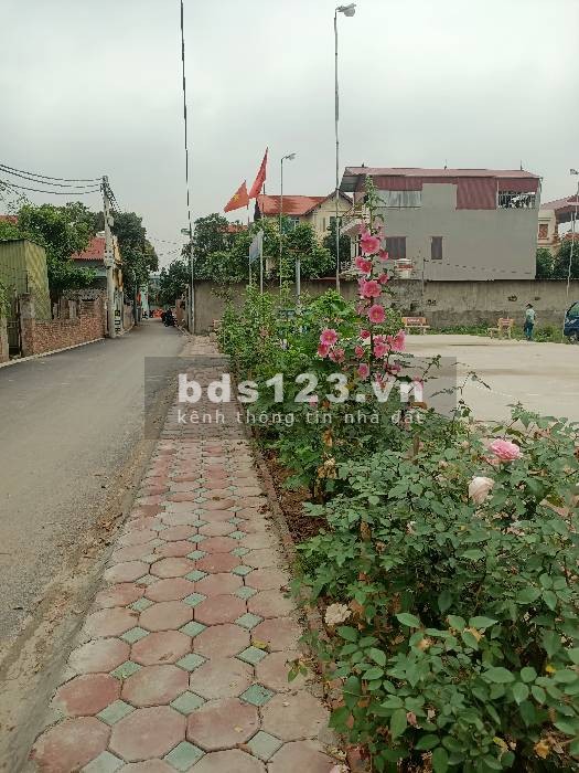 Bán đất Dương Khuê, Gia Lâm. MT 11M DT ~177m2 giá 2.3T