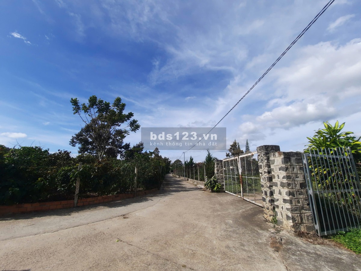 Làng chùa Đại Ninh - Lô đất view sông - Thích hợp đầu tư - Nghĩ dưỡng
