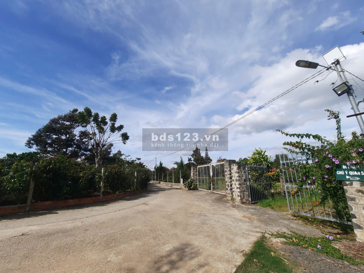 Làng chùa Đại Ninh - Lô đất view sông - Thích hợp đầu tư - Nghĩ dưỡng