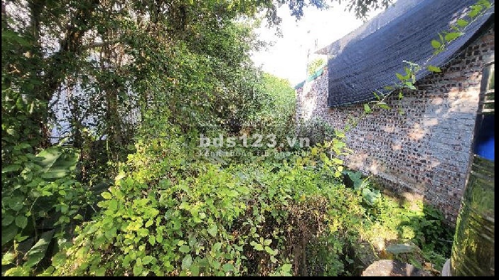 Bán 112m2 đất Do Nha - Diện tích rộng - Thửa đẹp - Ngõ thông tứ phía