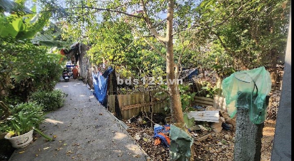 Bán 112m2 đất Do Nha - Diện tích rộng - Thửa đẹp - Ngõ thông tứ phía