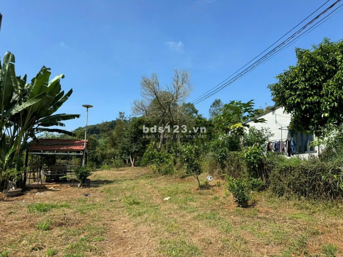 Bán Đất Thổ Vườn Chính Chủ, Diện tích 1066m2, Giá bán ngộp chỉ 520 triệu, Đất bằng phẳng