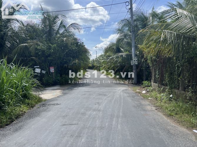 Đất gấp lô đất rộng 4.000m2 MẶT TIỀN 90C Mỹ Lương, Mỹ Phong, Mỹ Tho. giá rẻ hơn Tân phước.
