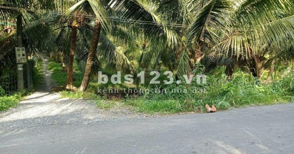 Đất gấp lô đất rộng 4.000m2 MẶT TIỀN 90C Mỹ Lương, Mỹ Phong, Mỹ Tho. giá rẻ hơn Tân phước.