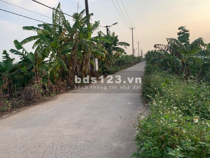 Ngõ thông nhất Cự Khối, Long Biên, ngõ to như phố, thoáng sáng, đường ô tô tránh đỗ cửa vào đất