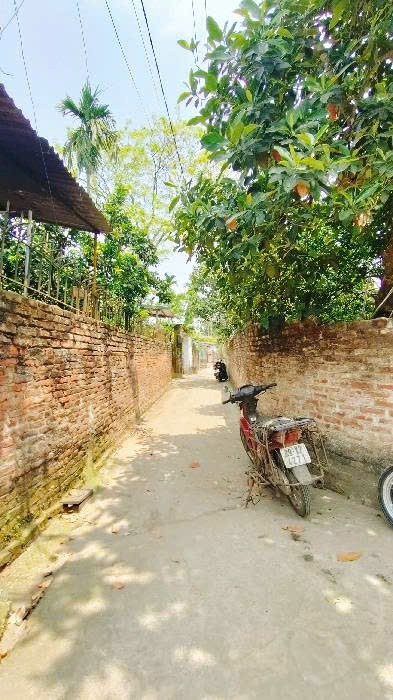 Bán đất Vạn Phúc, Thanh Trì, sổ đỏ, chủ thiện chí muốn bán