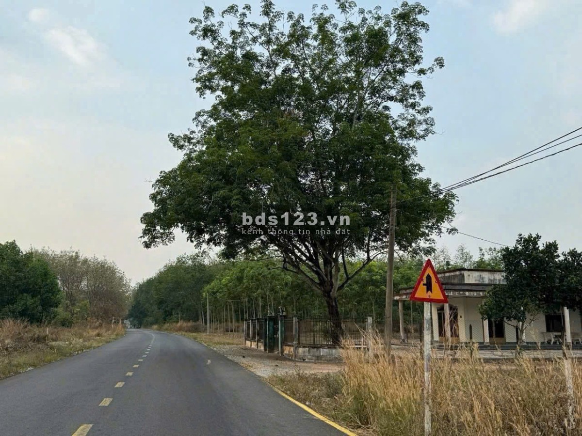 Bán đất mặt tiền đường Liên Huyện DH615 giá ngộp 950 triệu, diện tích 300m2, sổ hồng riêng