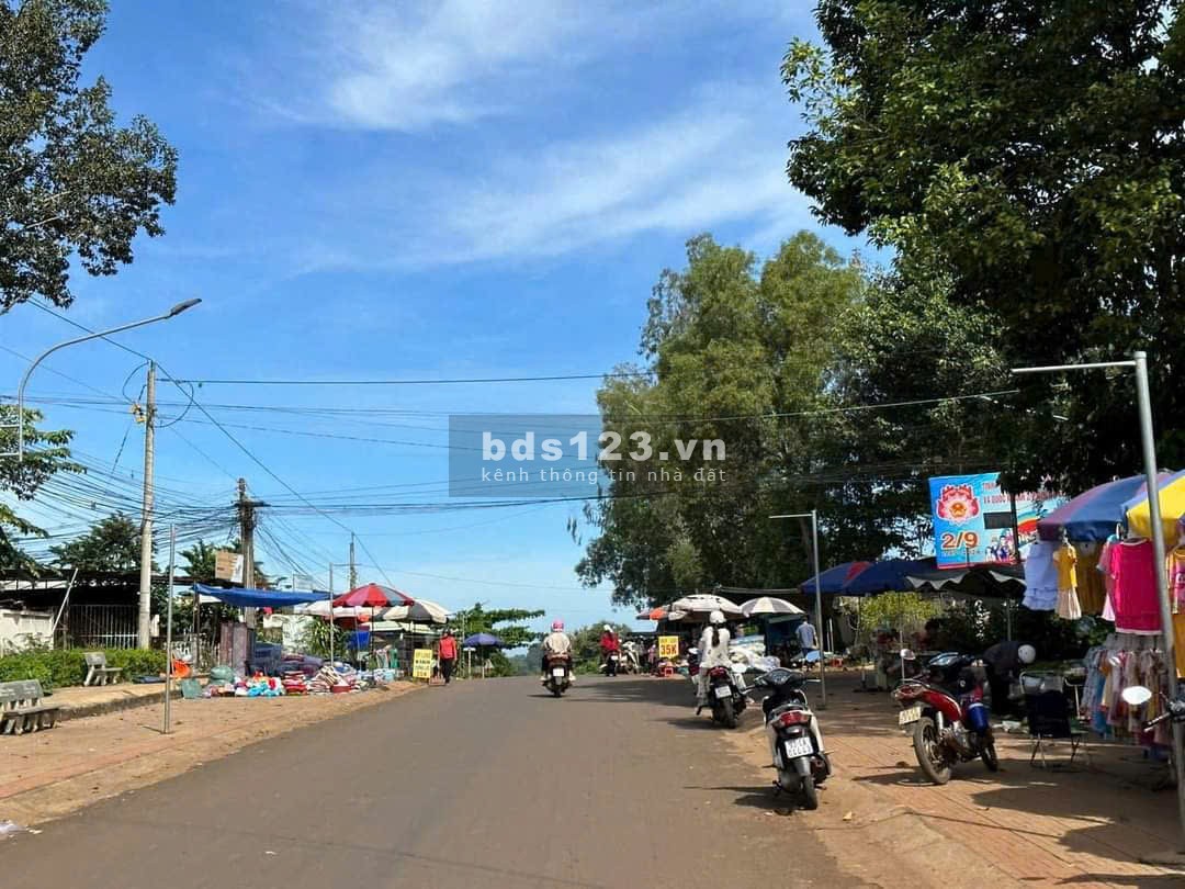 Chính chủ ngộp cần bán gấp trong tuần