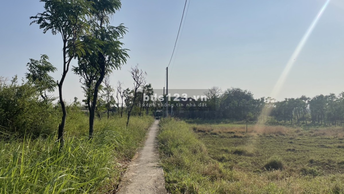 Bán 2000m2 đất cây, có 500m2 thổ tại P. Long Hòa, TP Gò Công, Tiền Giang