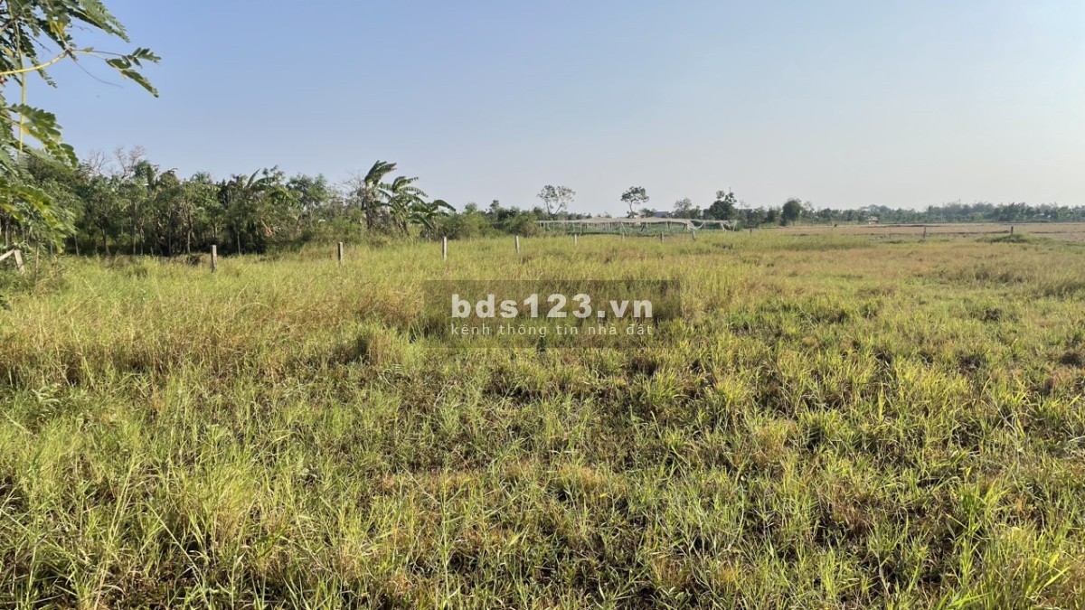 Bán 2000m2 đất cây, có 500m2 thổ tại P. Long Hòa, TP Gò Công, Tiền Giang