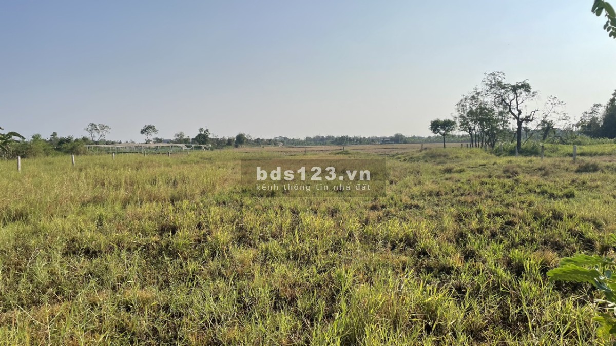 Bán 2000m2 đất cây, có 500m2 thổ tại P. Long Hòa, TP Gò Công, Tiền Giang