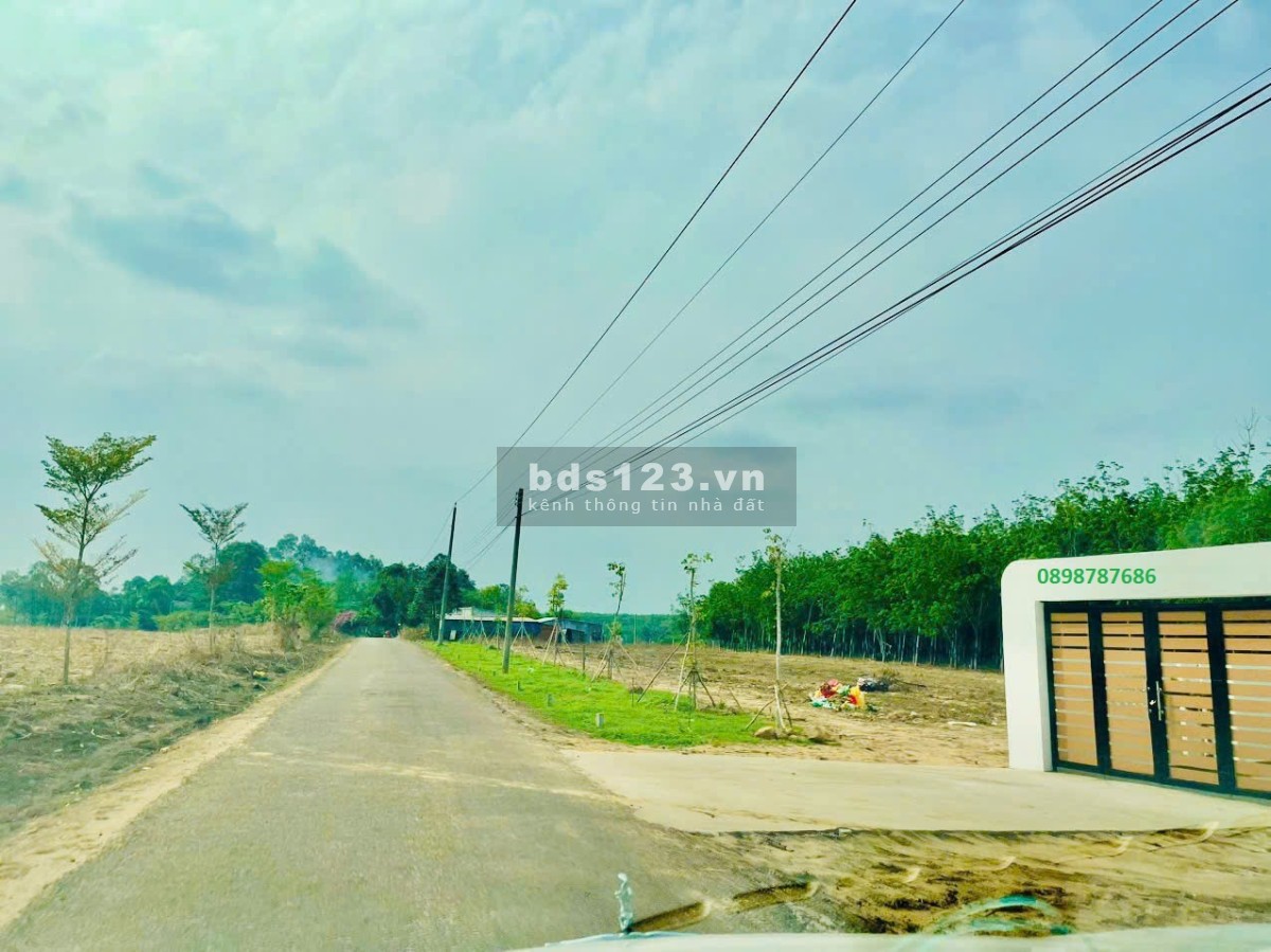 Đất Bình Dương siêu rẻ chỉ 10 x 32 x 100m2 mà có 750 triệu chủ ngộp bank