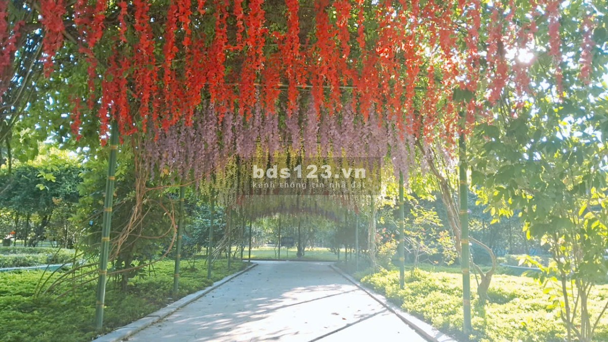  Bán nhà Đại Mỗ - N Từ Liêm, ô tô đỗ cửa, bãi đỗ cạnh nhà, mới kính koong đất rộng 60m, 6.5 tỷ