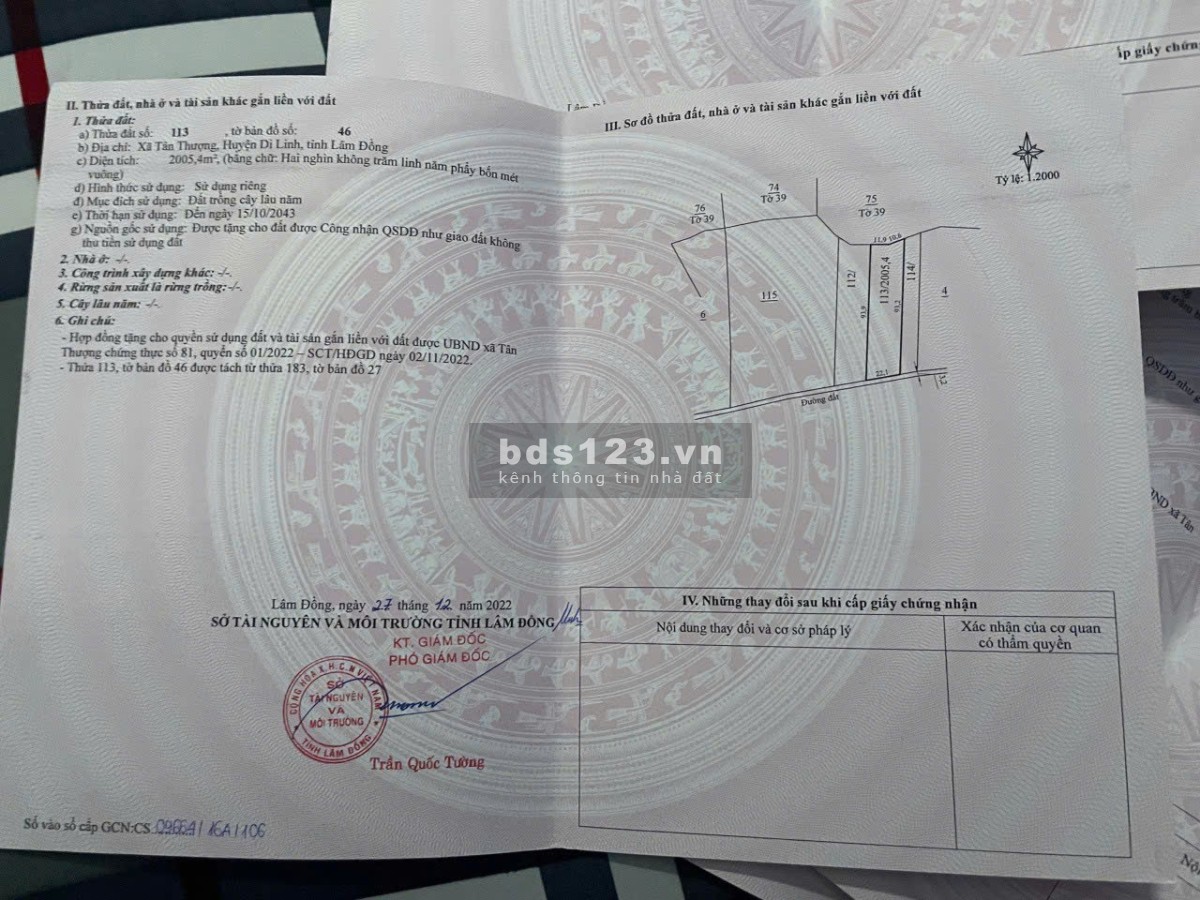 Cơ Hội Vàng Mua Lô Đất 250tr/xào Tại Tân Thượng – Di Linh!