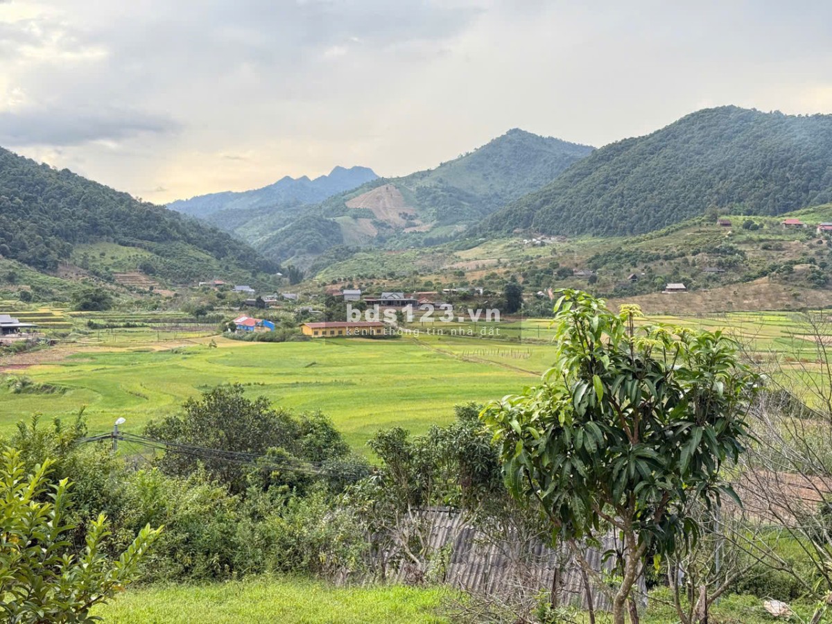 Bán đất Mộc Châu siêu đẹp sẵn nhà view ôm trọn cánh đồng