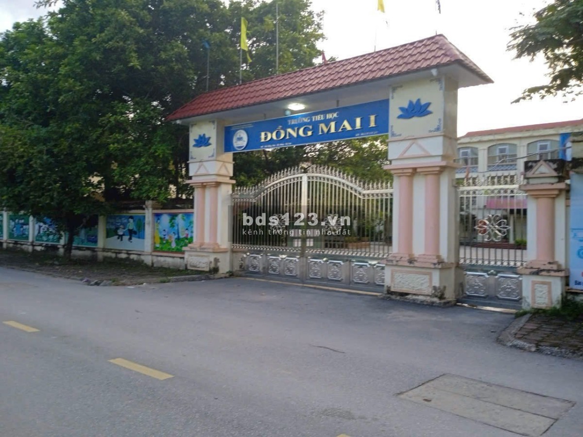 Bán đất đấu giá Đồng Mai giá rẻ hơn đất dịch vụ
