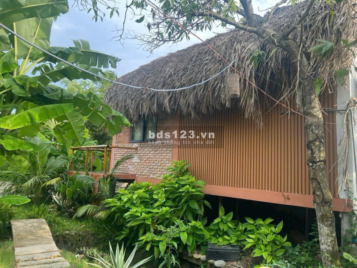 Tôi cần bán nhanh miếng đất ở Cai Lậy Tiền Giang diện tích 2112,7m với giá 2.550 tỷ
