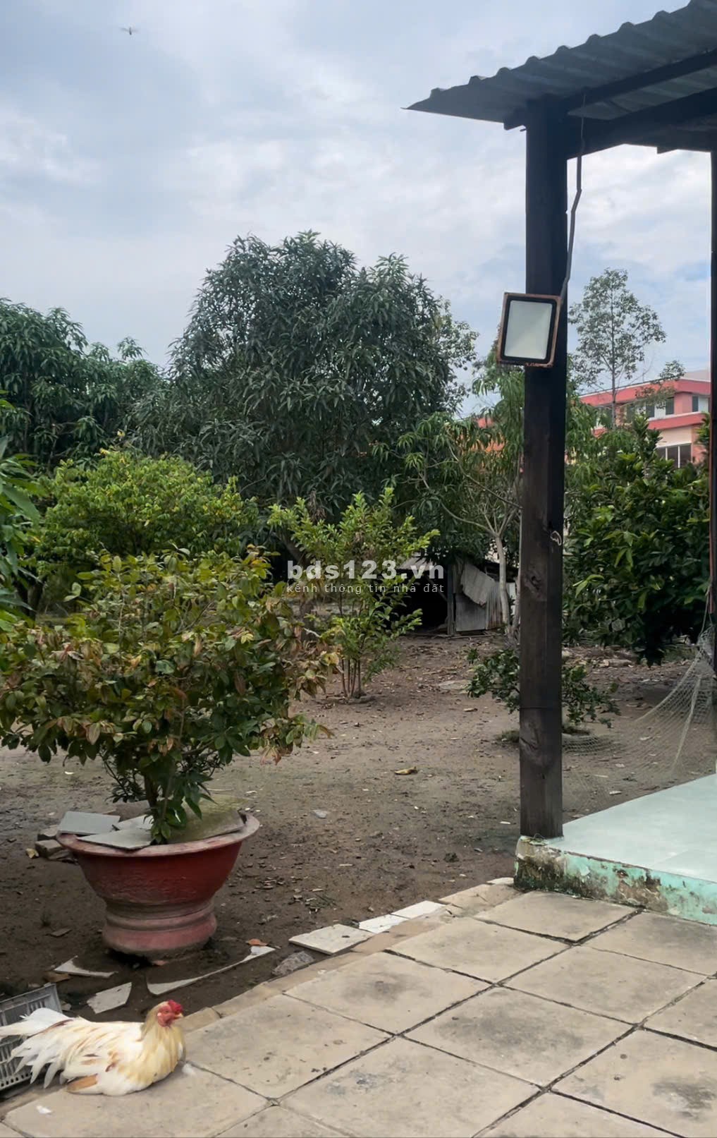 Tôi cần bán nhanh miếng đất ở Cai Lậy Tiền Giang diện tích 2112,7m với giá 2.550 tỷ