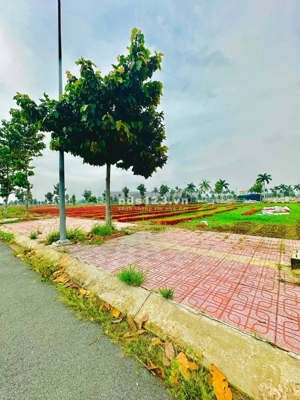 Vợ Chồng chú Năm cần bán nhanh lô đất để lấy tiền nhập hàng bán dịp Tết