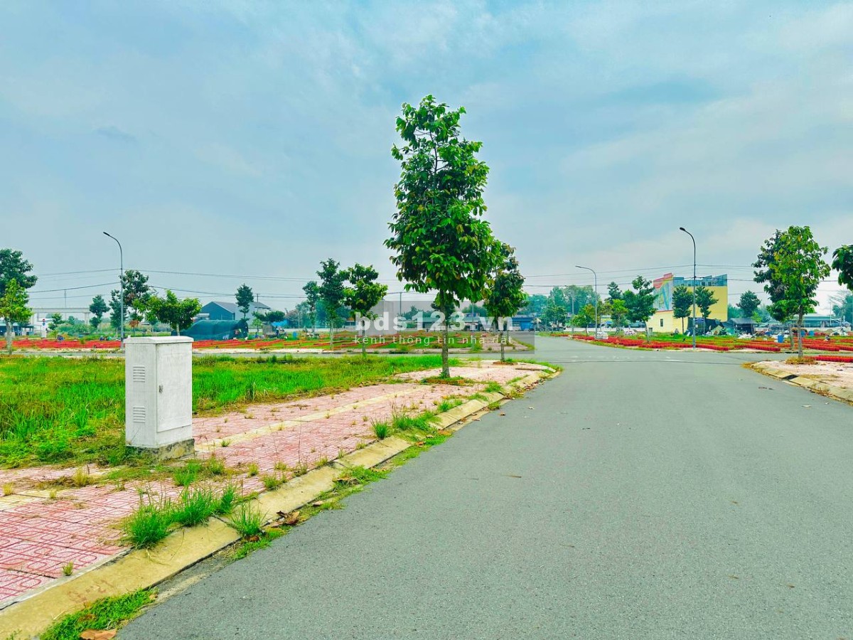 Vợ Chồng chú Năm cần bán nhanh lô đất để lấy tiền nhập hàng bán dịp Tết