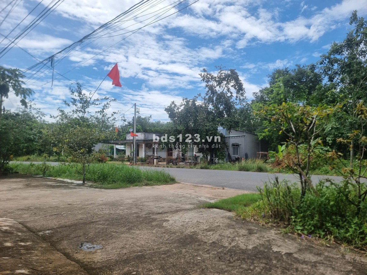 Bán đất đẹp tại DH615,Bàu Bàng, Bình Dương - 9000 m²