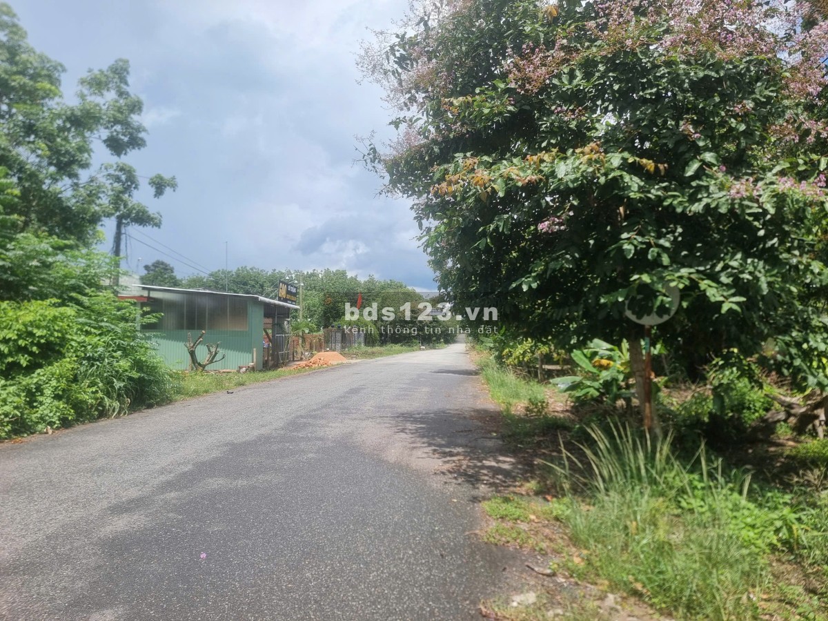 Bán đất đẹp tại DH615,Bàu Bàng, Bình Dương - 9000 m²