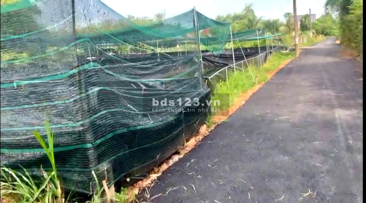 Bán gấp 20m ngang đường tỉnh lộ 2 ngay Kênh Đông, Trung Lập Thượng, 4tr/1m2