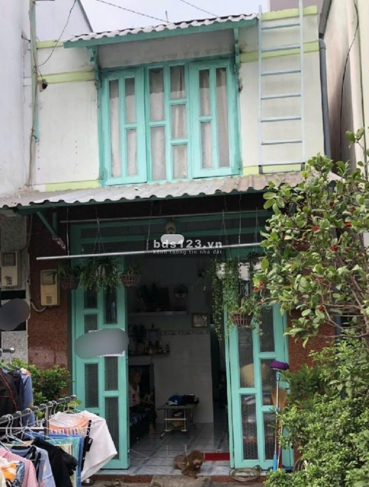 Bán nhà mặt tiền kinh doanh Ba Đình, đại lộ Võ Văn Kiệt, 2 tầng, 37 M2, giá nhỉnh 5 tỷ