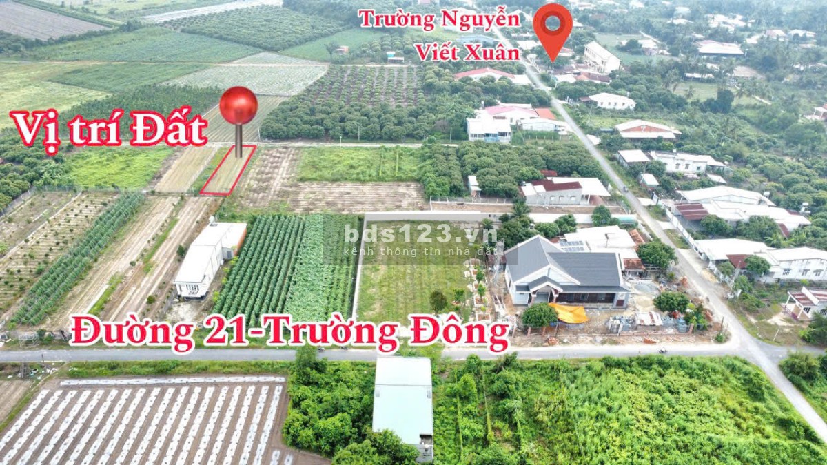 Ngộp đậm sâu đất thị xã Hòa Thành hơn 160m2 full thổ cư sổ đường 10m chỉ 4xxtr