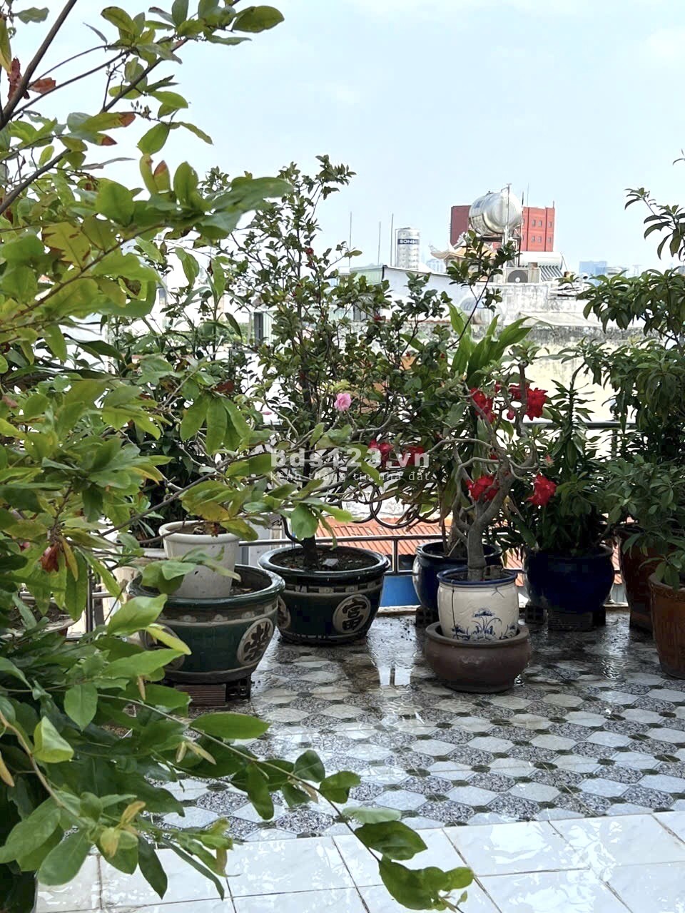 Bán nhà mặt tiền quận 6 phố ẩm thực - Đường rộng 8M - 4 Tầng BTCT - Vừa ở vừa cho thuê 20 TR/TH