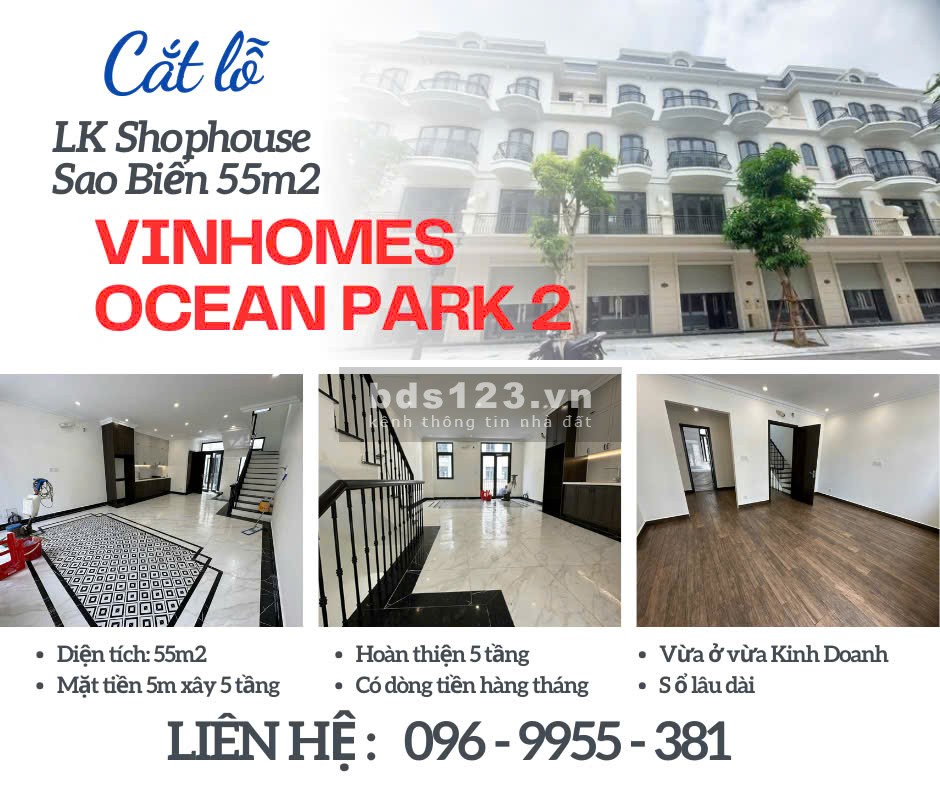 Siêu phẩm Shophouse Sao Biển giá cắt lỗ RẺ nhất Vinhomes OCean Park 2