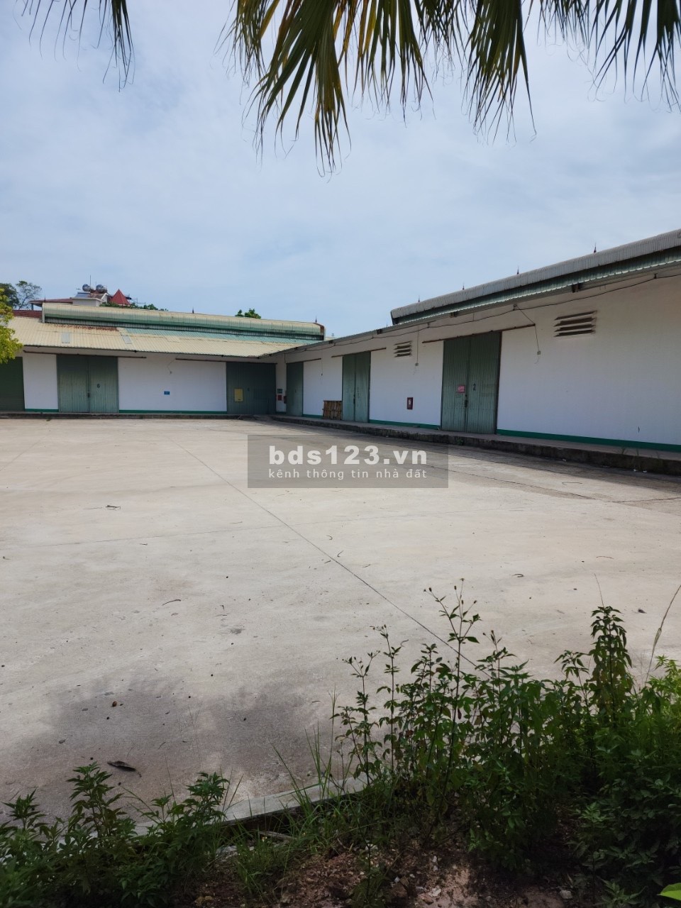 Chính chủ cần bán hoặc cho thuê nhà xưởng. Địa chỉ: Cụm CN SỐ 2, P. Tân Lập, TP Thái Nguyên