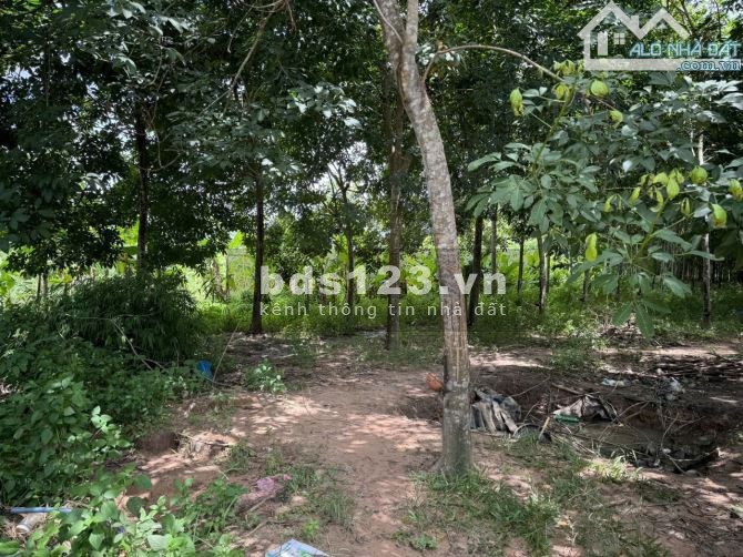 Chủ cần bán gấp đất mặt tiền DH615 Long Nguyên, Bàu Bàng