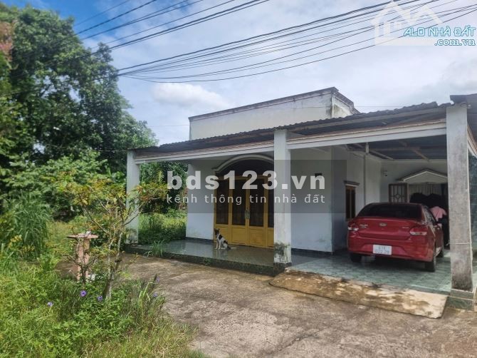 Chủ cần bán gấp đất mặt tiền DH615 Long Nguyên, Bàu Bàng
