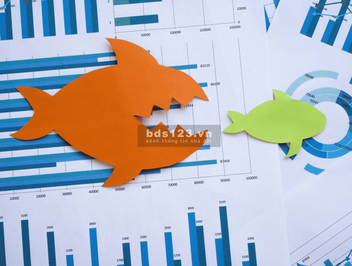 Thị trường cạnh tranh gay gắt