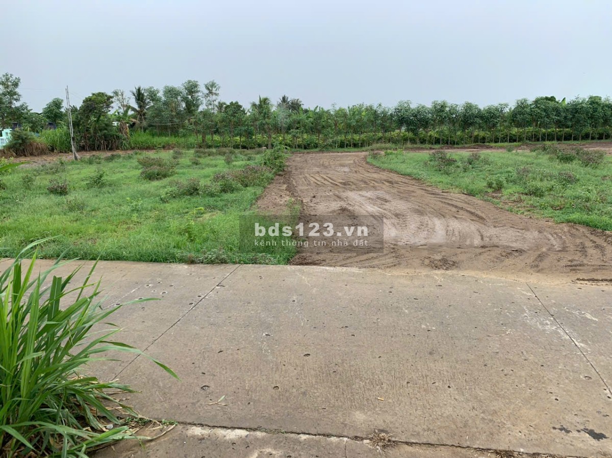 Bán 212m2 đất thổ cư đường Nguyễn Thìn, giáp ranh Thành Phố Gò Công, đã sổ rồi, 430tr thương lượng.